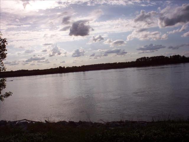 MIM 05 2091