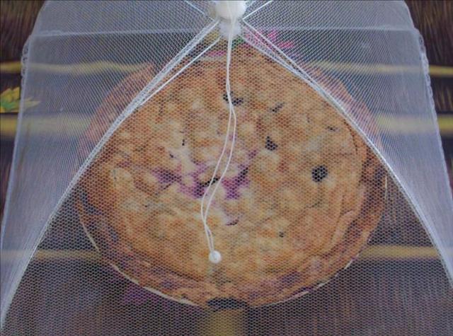 MIM 06 Saturday 0679